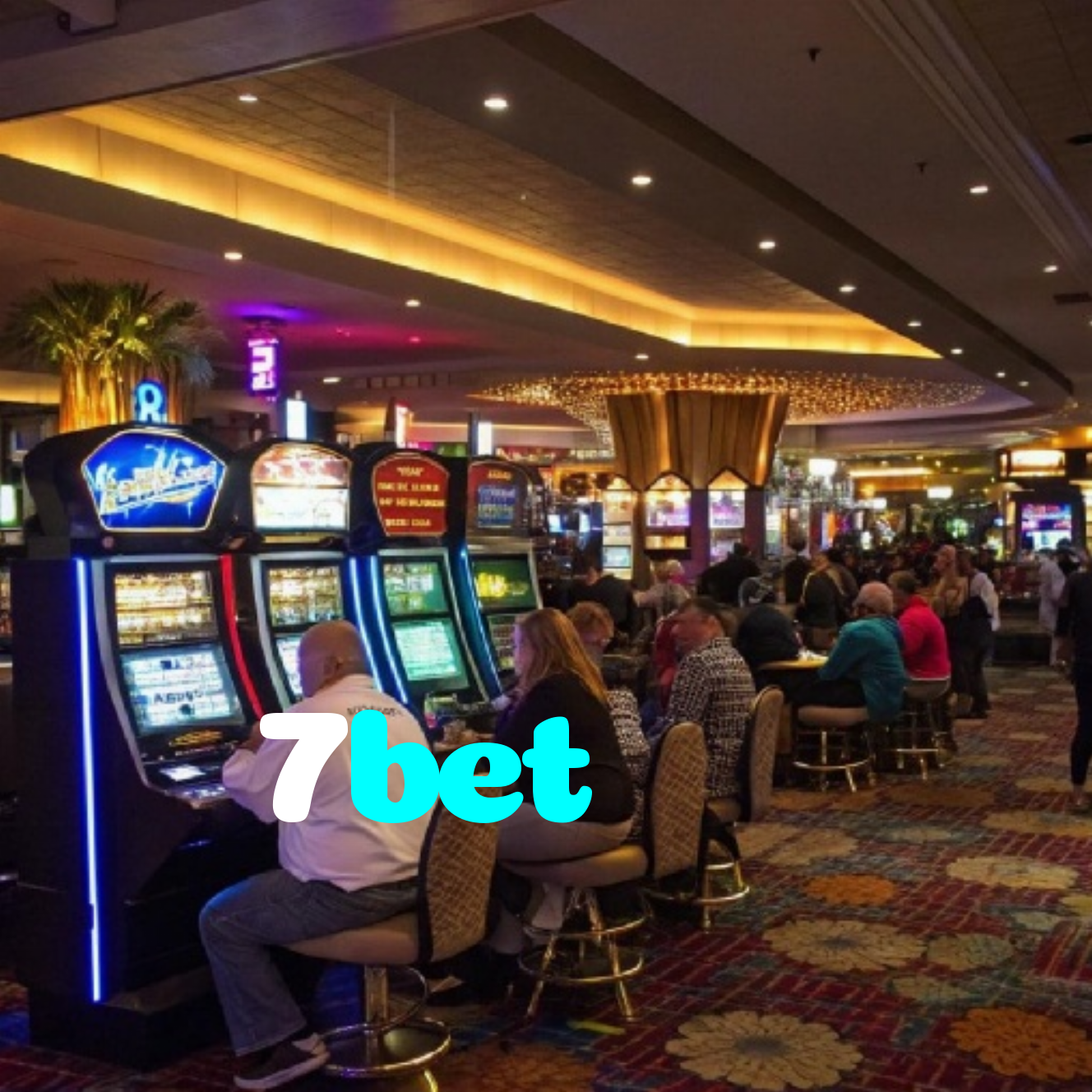 7bet